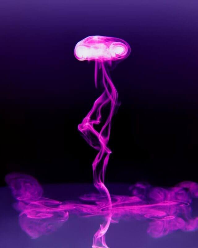2 2 1